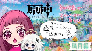 初心者原神　稲妻に行く準備をします