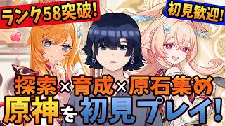 【原神/魔人任務】ランク58突破！ノエルの育成！目指せエスコフィエ完凸！リンネアとサンドローネとアリスとニコとシグウィンと雷電将軍と八重神子と心海に向けて原石集め！