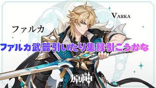 【原神】ファルカ武器引いたり集録引きたい枠【初見・コメ歓迎！】