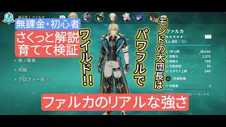 【原神】育てて検証　ファルカのリアルな強さ 無課金・初心者 さくっと解説　モンドの大団長はパワフルでワイルド！！