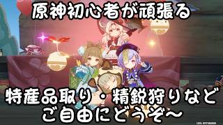 マーヴィカの伝説任務やる【原神】